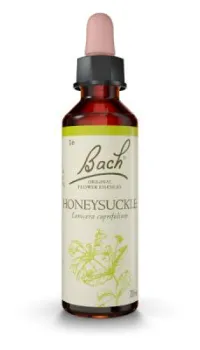 Honeysuckle (Madreselva) 20ml con gotero Nelsons