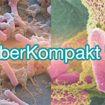 Estudio avanzado de salud intestinal: kyberbioma, zonulina, LPS, AGCC, calprotectina, residuos digestivos, elastasa pancreática, ácidos biliares, IGAs