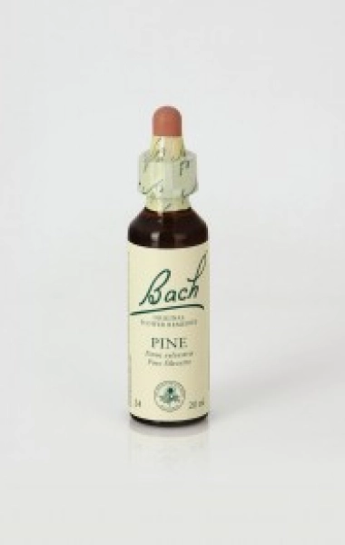 Pine (Pino Silvestre) 