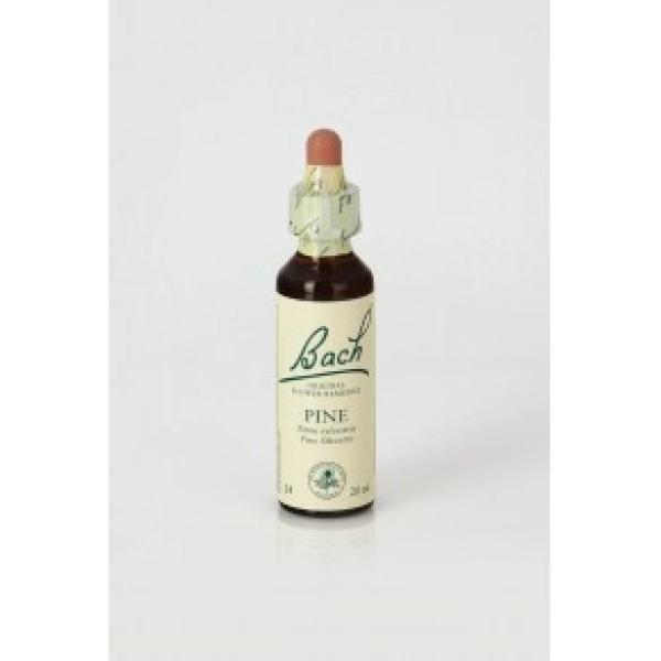 Pine (Pino Silvestre) Pine (Pino Silvestre)