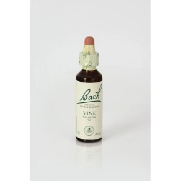 Vine (Vid) 