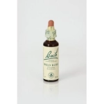 Wild Rose (Rosa Silvestre) 