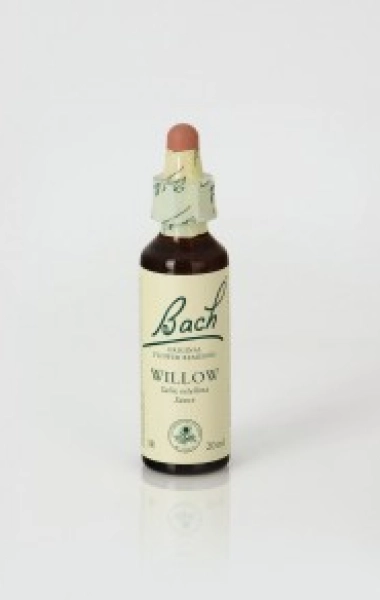 Willow (Sauce) 