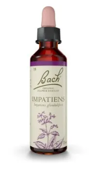 Impatiens (Impaciencia) 