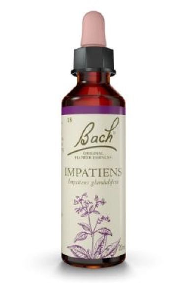 Impatiens (Impaciencia) 