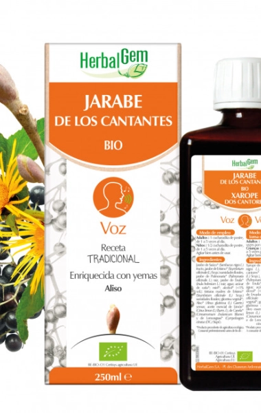 Jarabe de los Cantantes  Jarabe de los Cantantes