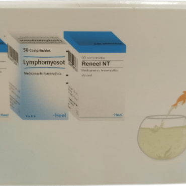  - Terapia de detoxificación para el organismo, tanto a nivel linfático, renal y hepático.