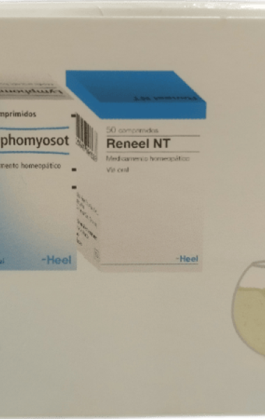 Kit terapia detoxificación (Reneel, Lymphomyosot y Hepeel) Kit terapia detoxificación (Reneel, Lymphomyosot y Hepeel)