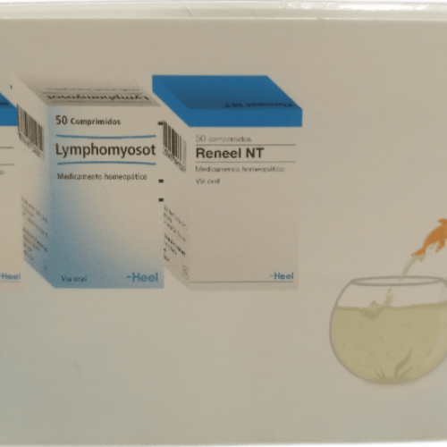  - Terapia de detoxificación para el organismo, tanto a nivel linfático, renal y hepático.