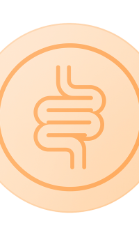 KyberBioma Test Disbiosis intestinal e inflamación sistémica