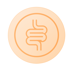 KyberBioma Test Disbiosis intestinal