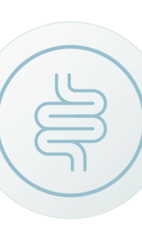 KyberBioma Test Disbiosis intestinal