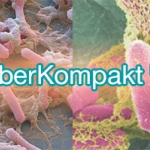 KyberBioma pro Test Disbiosis intestinal