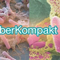 KyberBioma pro Test Disbiosis intestinal