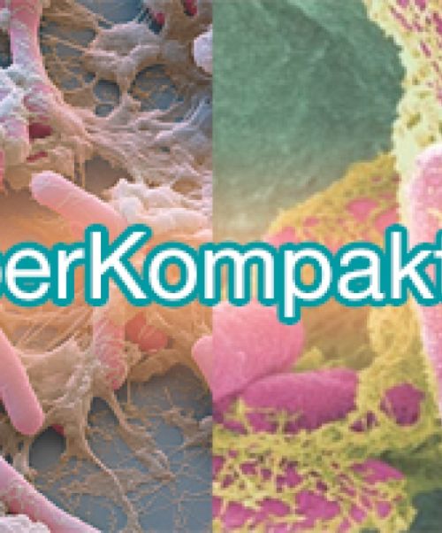 KyberKompakt pro Test Disbiosis intestinal - Es un diagnóstico por coprocultivo que nos permite diagnosticar el mapa de distribución de la microbiota intestinal, bacteriana y fúngica, lo que nos ayuda a valorar las repercusiones de la misma sobre la digestión, así como sobre diferentes enfermedades y el sistema inmune. 