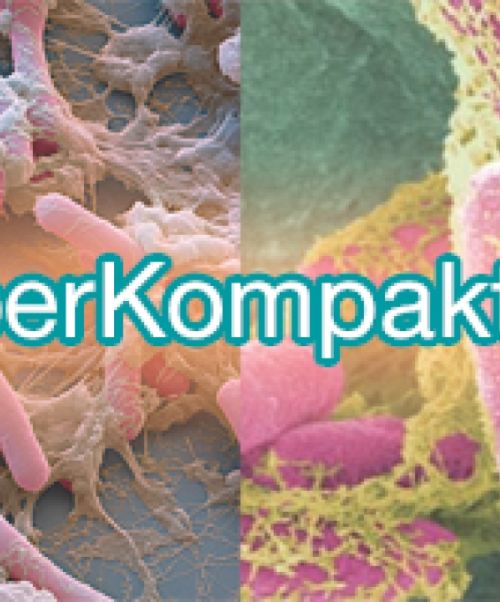 KyberBioma pro Test Disbiosis intestinal - Es un diagnóstico por coprocultivo que nos permite diagnosticar el mapa de distribución de la microbiota intestinal, bacteriana y fúngica, lo que nos ayuda a valorar las repercusiones de la misma sobre la digestión, así como sobre diferentes enfermedades y el sistema inmune. 