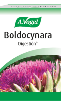 Boldocynara 