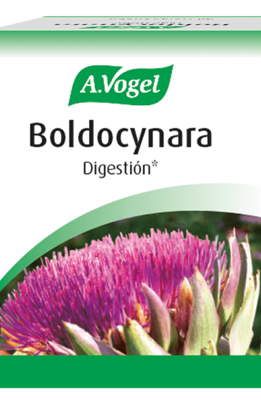 Boldocynara Boldocynara