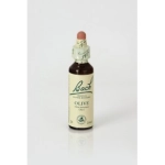 Olive (Olivo) 