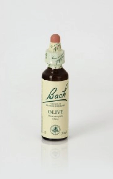 Olive (Olivo) 