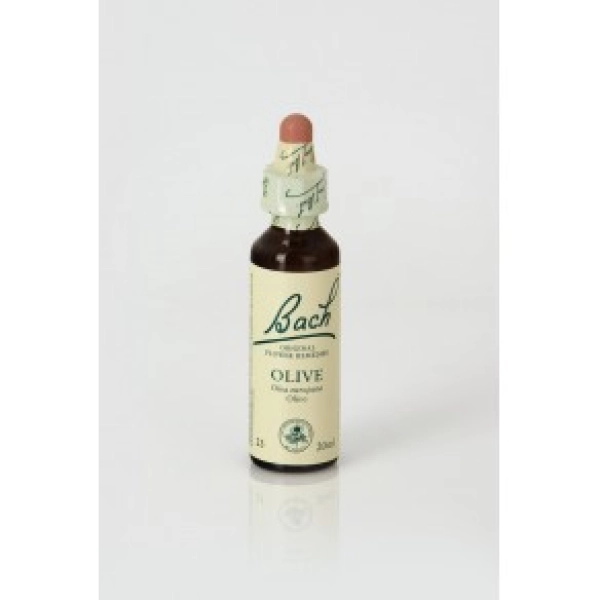 Olive (Olivo) 
