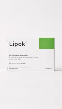 Lipok