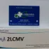 Citomegalovirus