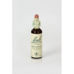 Impatiens (Impaciencia) 