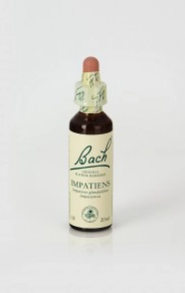 Impatiens (Impaciencia) 