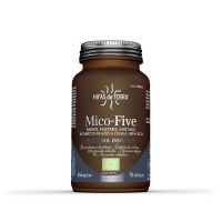 Mico Five + Chaga