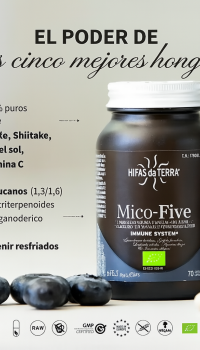 Mico Five 