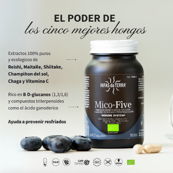 Mico Five 