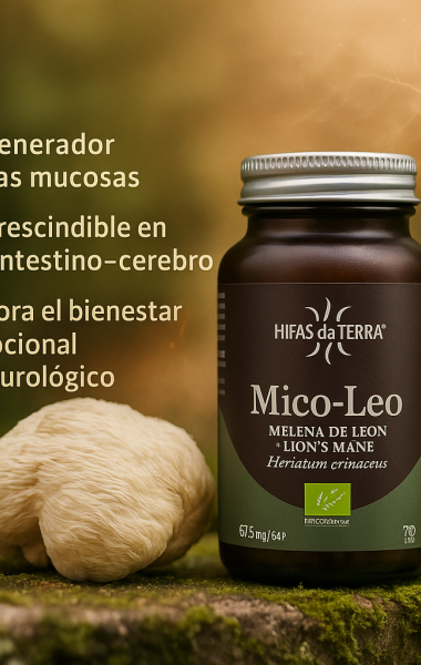 Mico Leo Mico Leo