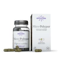 Mico Polypor Extracto de Polyporus 