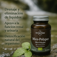 Mico Polypor Extracto de Polyporus 