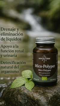 Mico Polypor Extracto de Polyporus 
