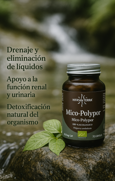 Mico Polypor Extracto de Polyporus 
