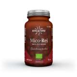 Mico Rei Extracto de Reishi 