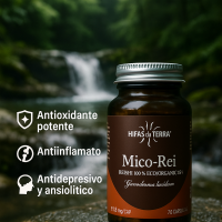 Mico Rei