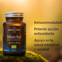 Mico Sol
