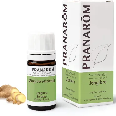  - Trata los problemas estomacales y las náuseas. Aceite esencial 100% puro procedente del destilado del rizoma del Jengibre.