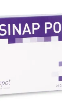 Sinap Pol