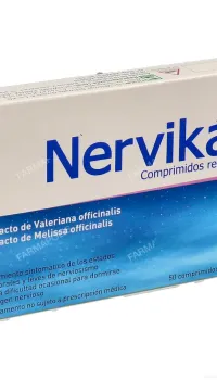 Nervikan 