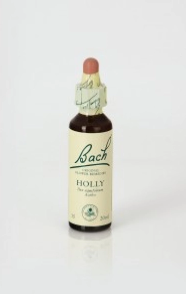 Holly (Acebo) Nelsons