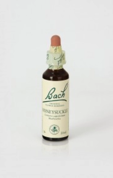 Honeysuckle (Madreselva) 20ml con gotero Nelsons