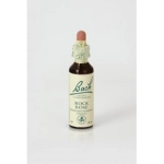 Rock Rose (Heliantemo) 