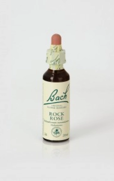 Rock Rose (Heliantemo) 