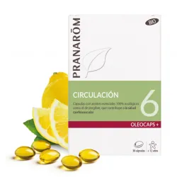 - Tónico venoso y linfatico- Descongestivo prostático- Cicatrizantes- Antiséptico