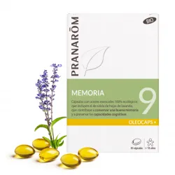 Ayudan a estudiar y a concentrarse gracias a la combinación exclusiva de vitaminas, aminoácidos y extracto de hoja de ginkgo biloba.  Ideal para estudiantes, universitarios y opositores. 