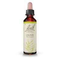 Olive (Olivo) 